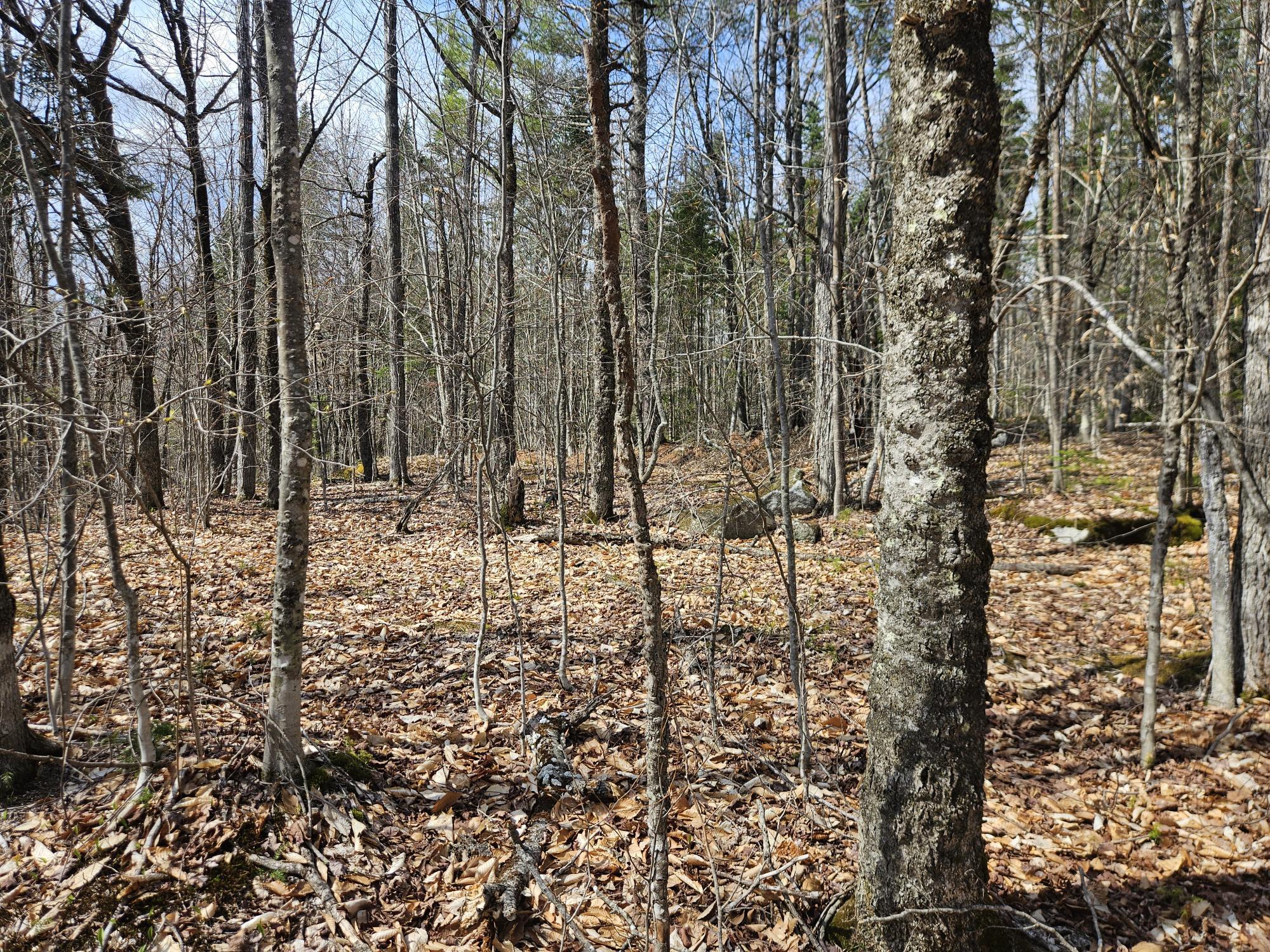 4-47 Merrill Road Willimantic, ME 04443 - Photo 22 of 41 20260505_144942