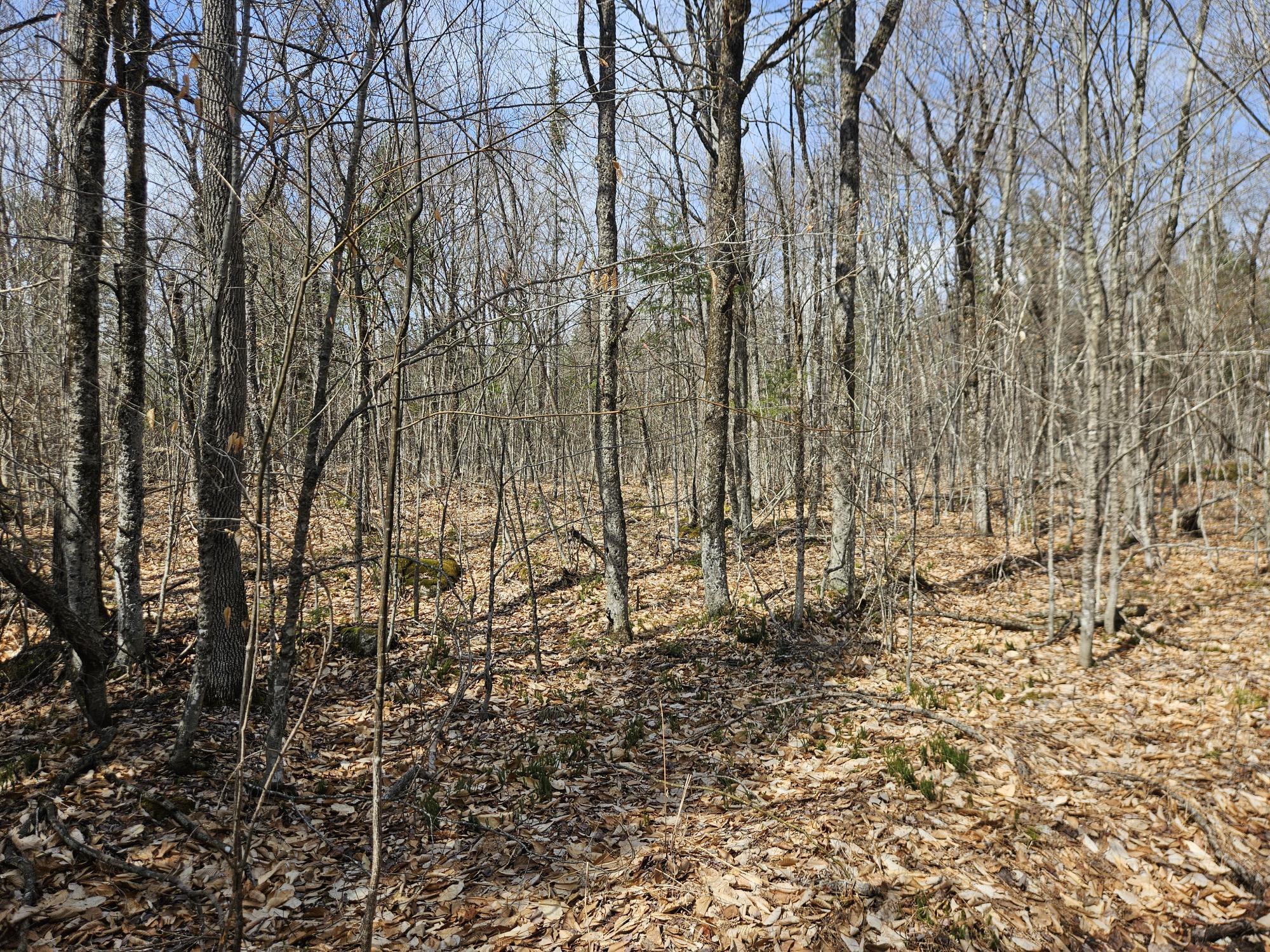 4-47 Merrill Road Willimantic, ME 04443 - Photo 25 of 41 20260505_145117