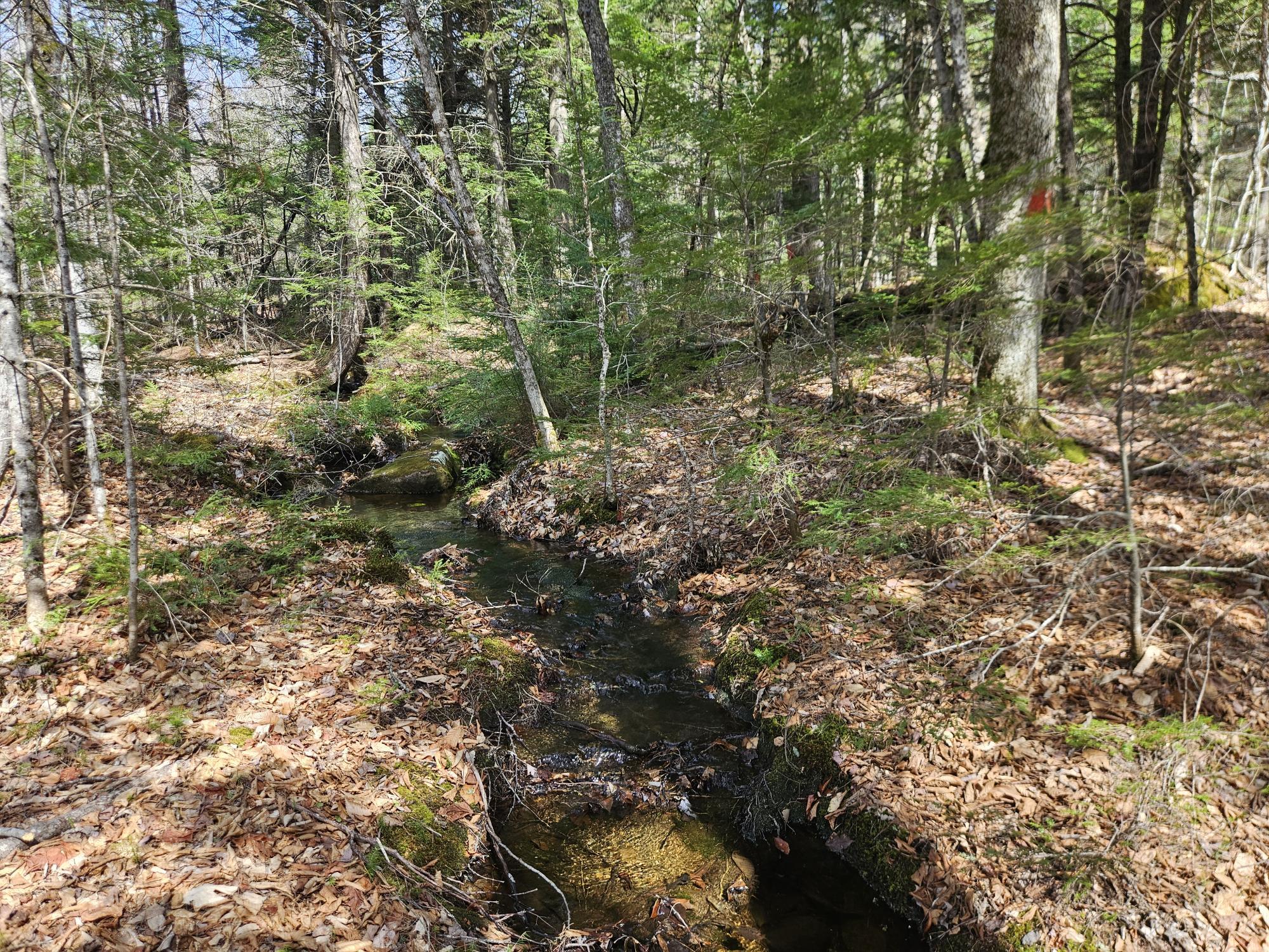 4-47 Merrill Road Willimantic, ME 04443 - Photo 26 of 41 20260505_145242