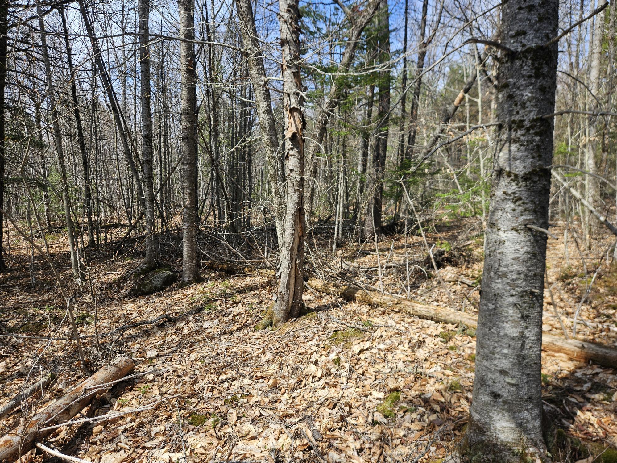 4-47 Merrill Road Willimantic, ME 04443 - Photo 28 of 41 20260505_145636
