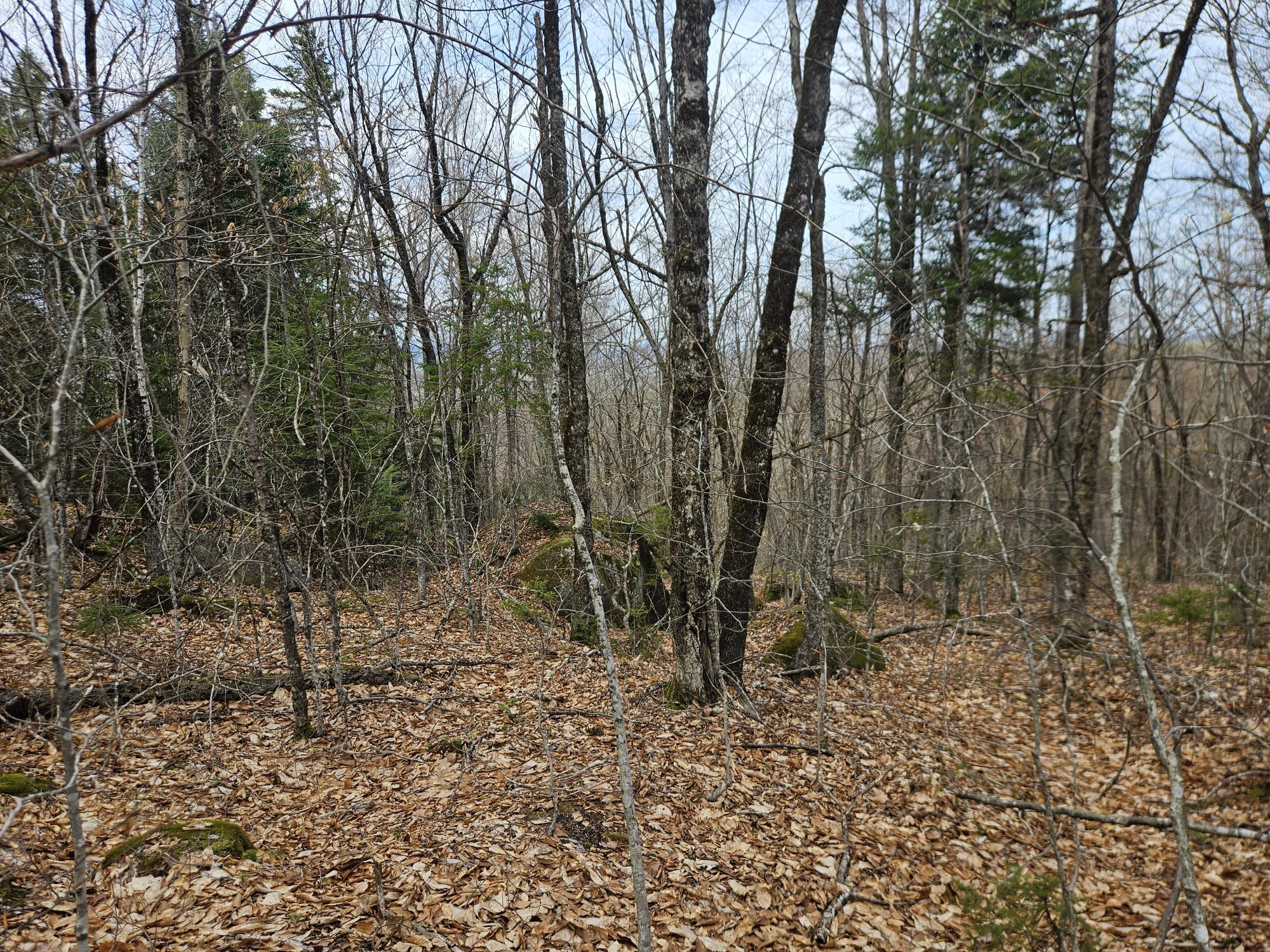 4-47 Merrill Road Willimantic, ME 04443 - Photo 40 of 41 20260505_153713