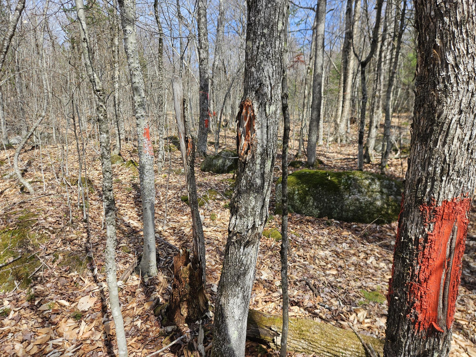 4-47 Merrill Road Willimantic, ME 04443 - Photo 4 of 41 20260505_144818