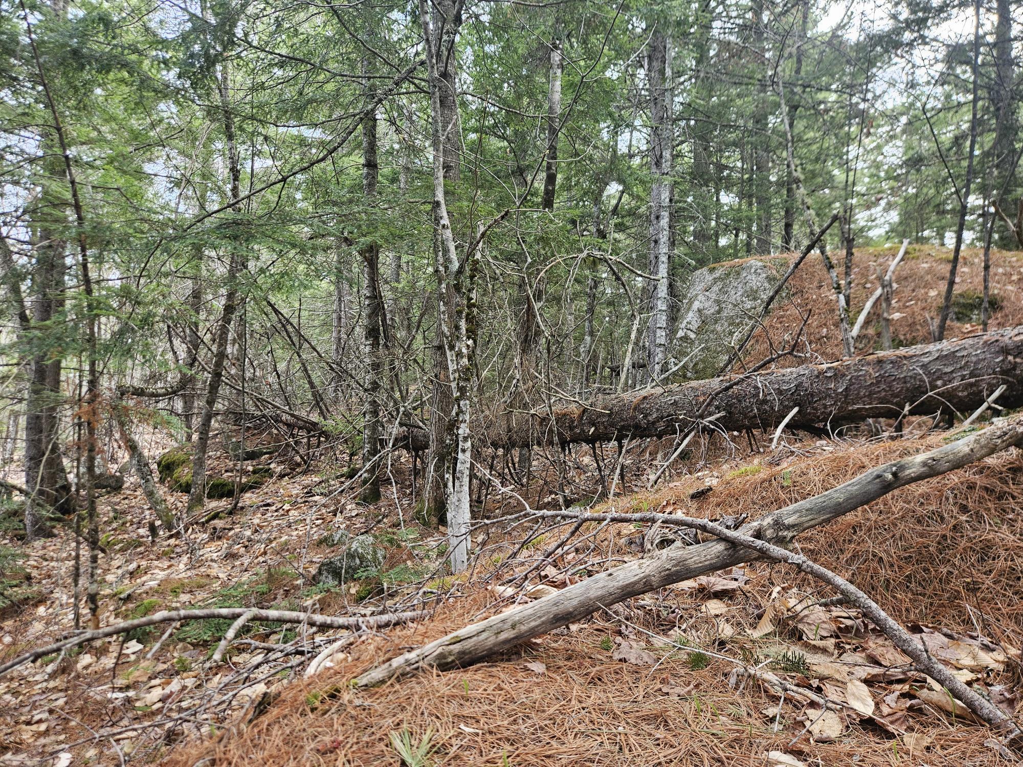 4-47 Merrill Road Willimantic, ME 04443 - Photo 41 of 41 20260505_153752