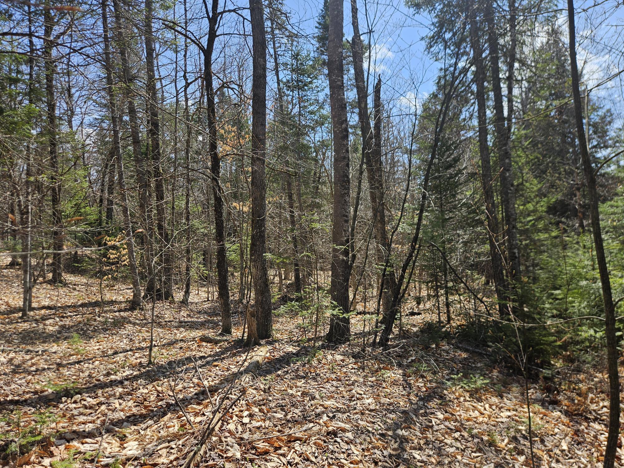 4-47 Merrill Road Willimantic, ME 04443 - Photo 6 of 41 20260505_141723