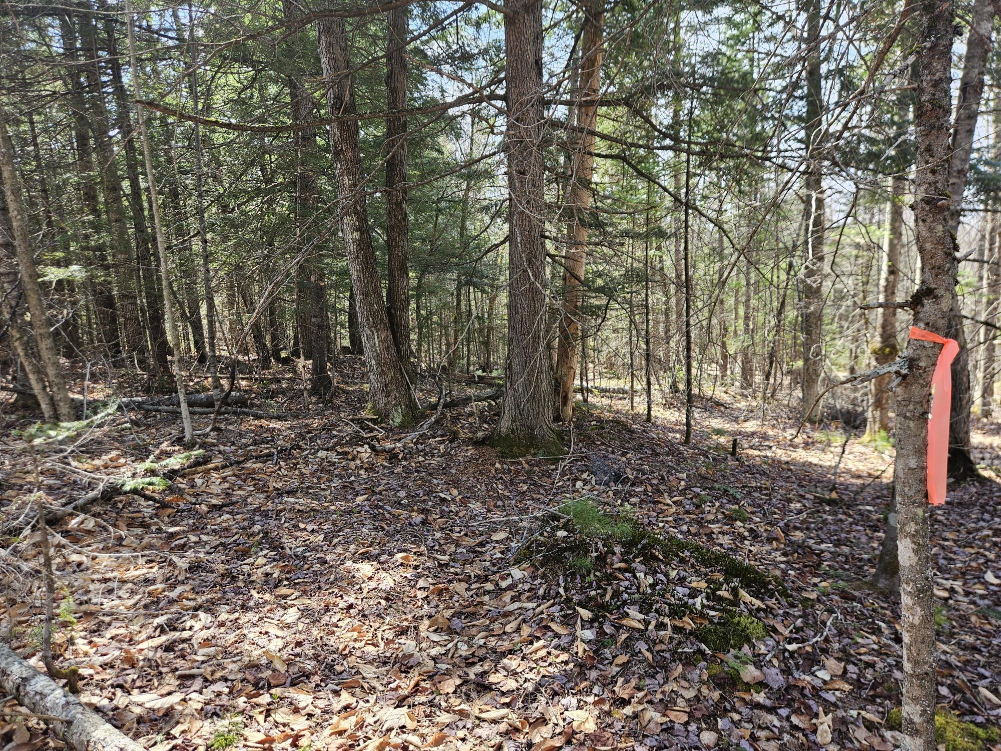4-47 Merrill Road Willimantic, ME 04443 - Photo 7 of 41 20260505_141803