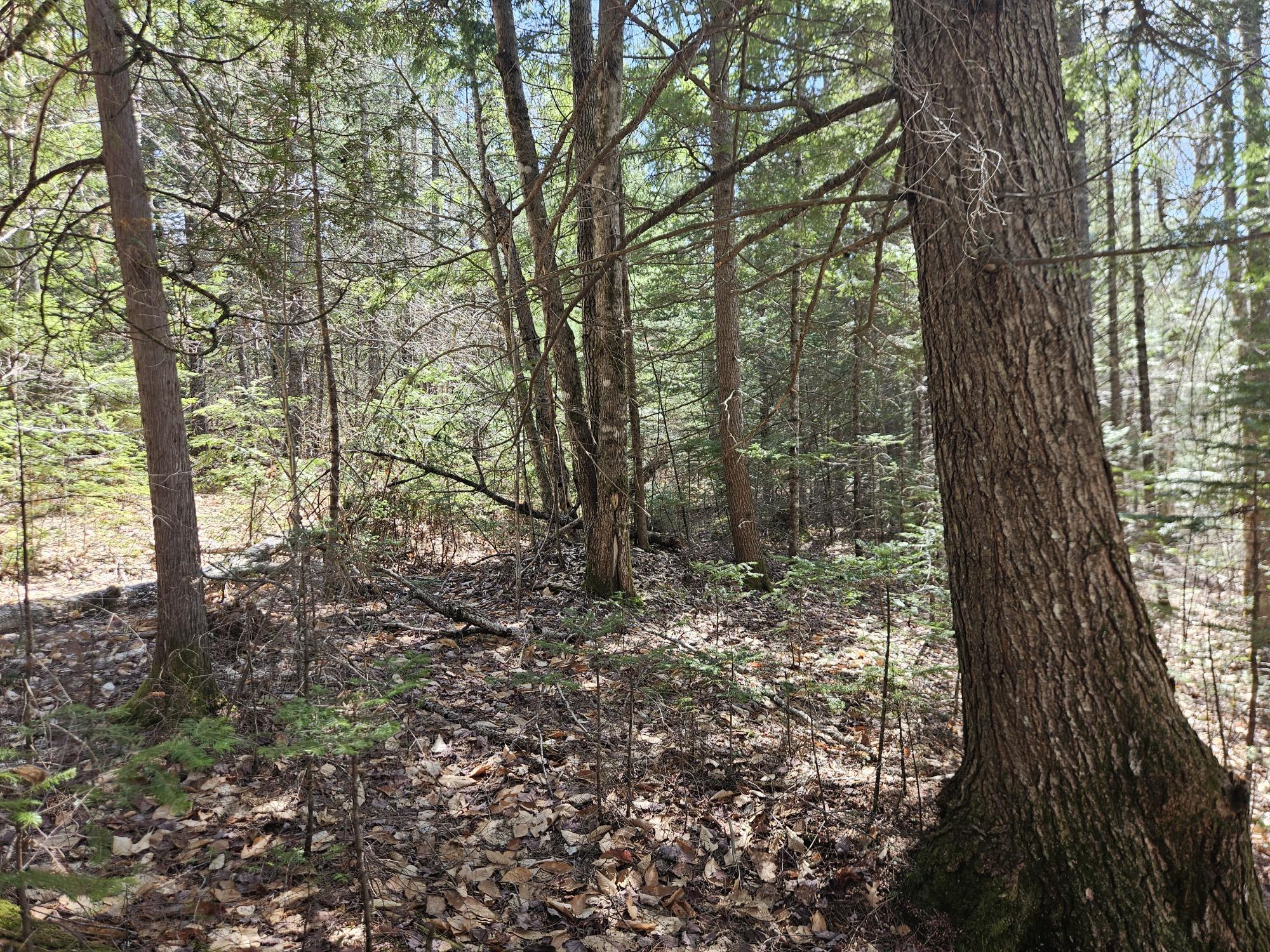 4-47 Merrill Road Willimantic, ME 04443 - Photo 9 of 41 20260505_141849