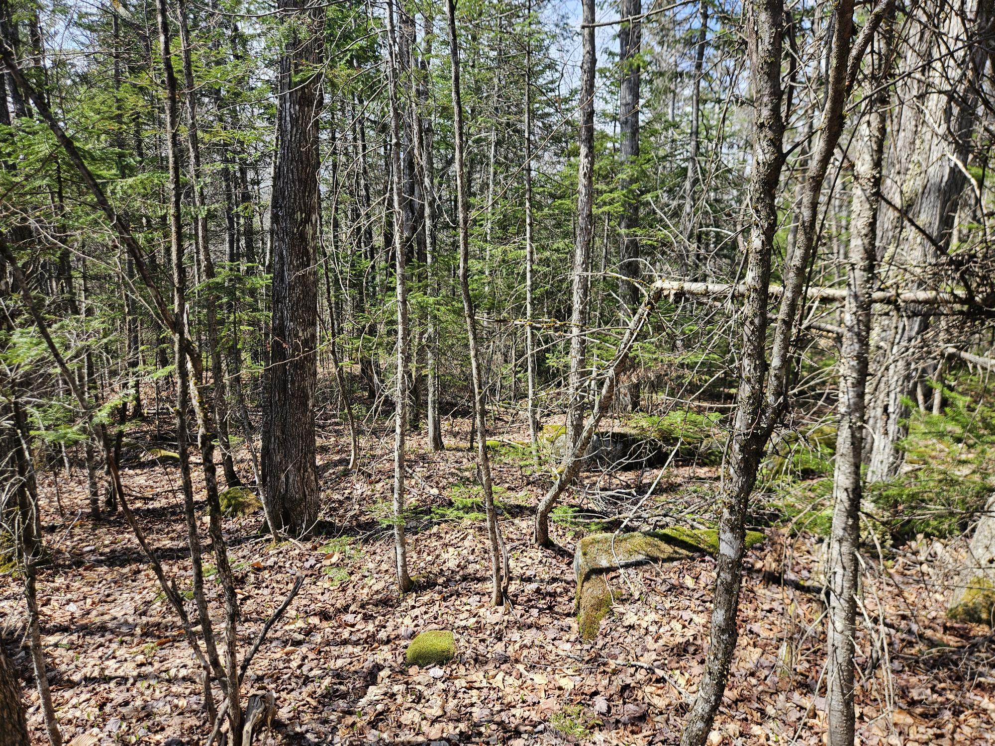 4-47 Merrill Road Willimantic, ME 04443 - Photo 10 of 41 20260505_142000