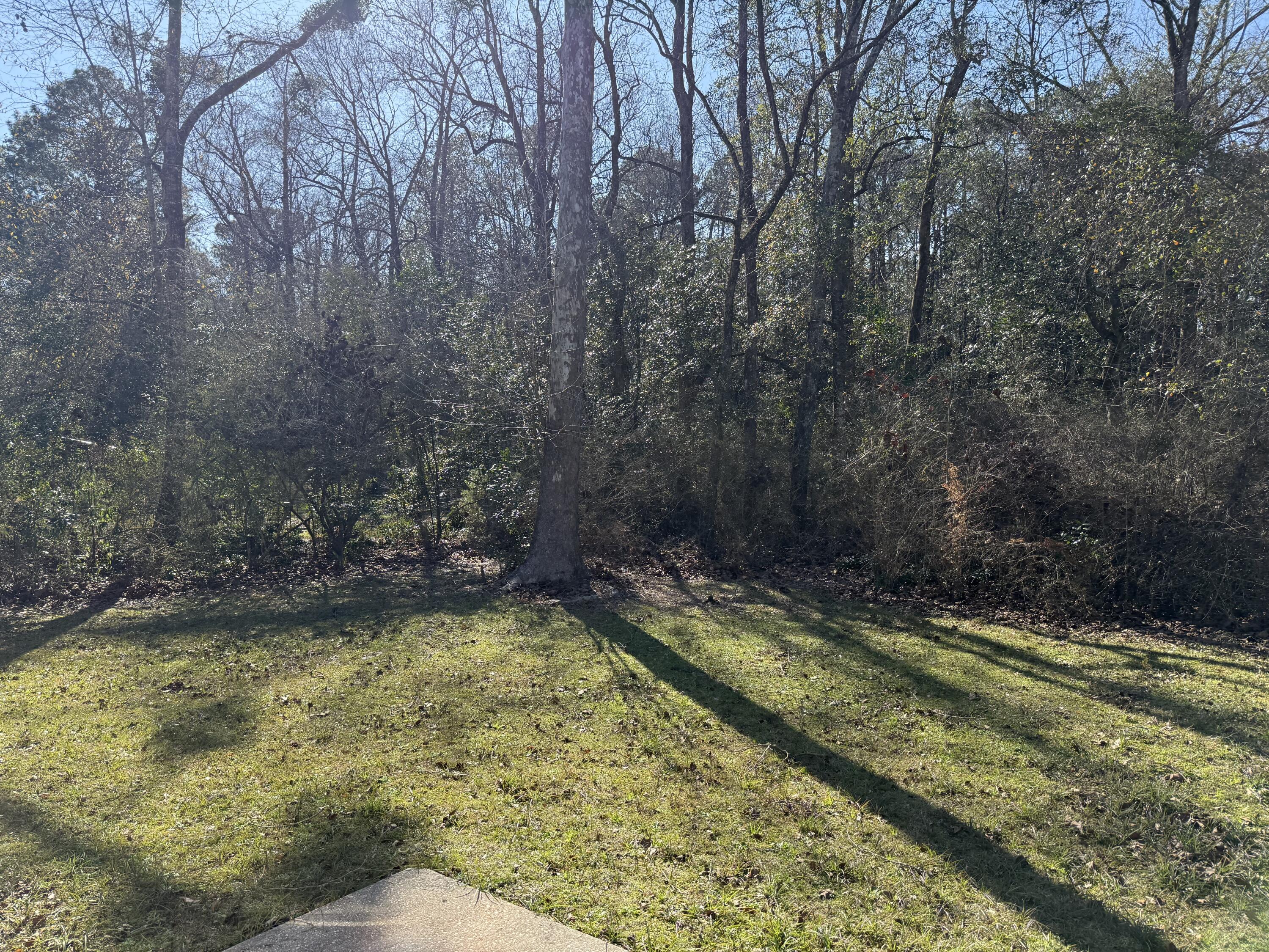 624 Hill Street DeFuniak Springs, FL 32435 - Photo 24 of 26 hill25