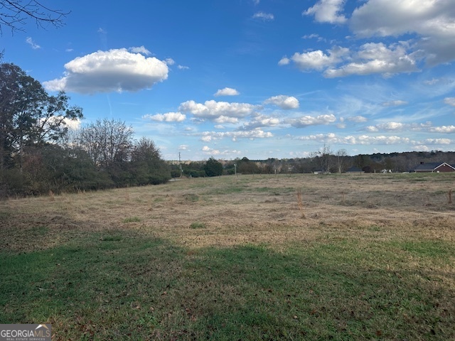 110 Fannin Road Griffin, GA 30223 - Photo 32 of 34 a view of a lake view