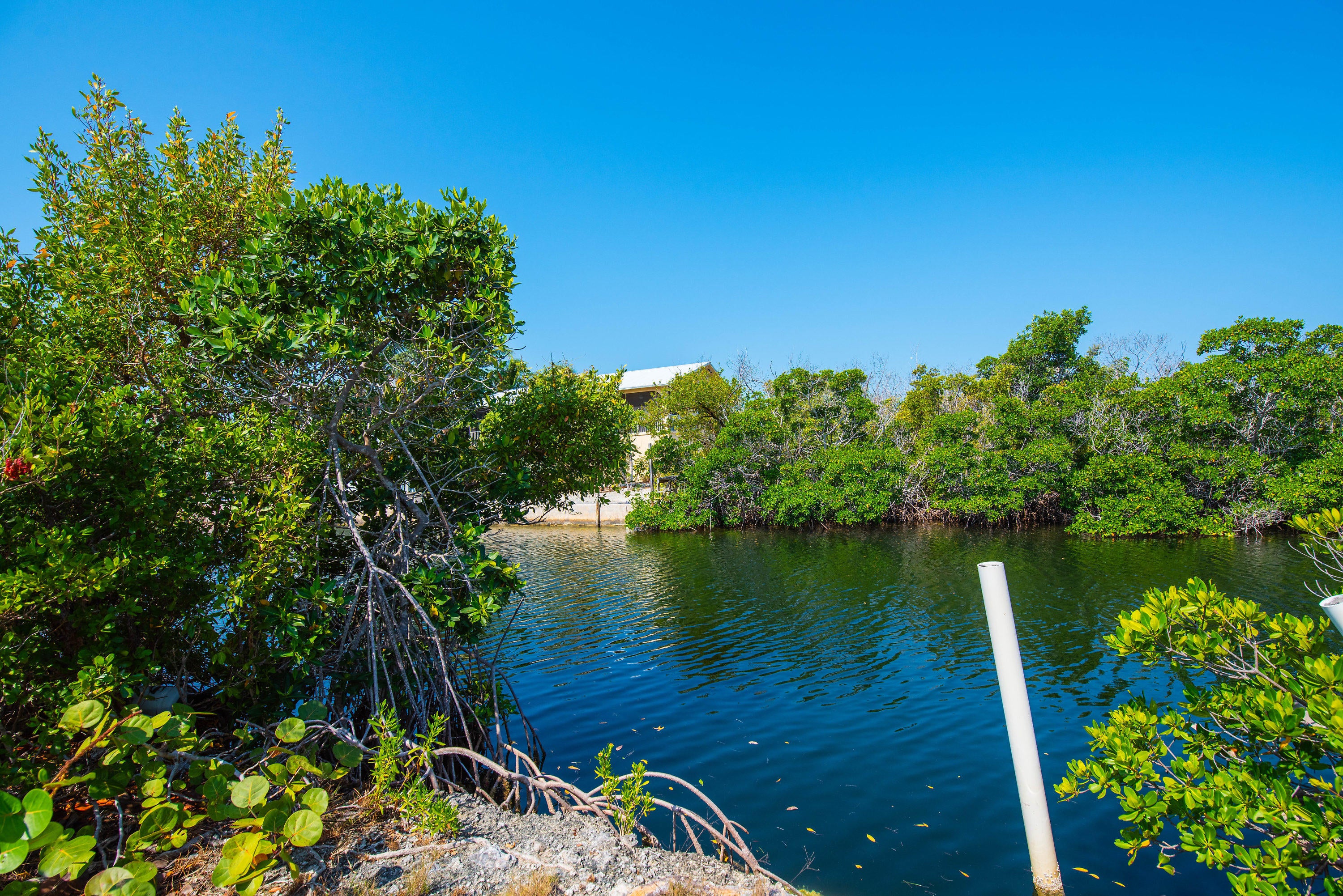 4252 Dorn Road Summerland Key, FL 33042 - Photo 6 of 20 Gallery Image 6