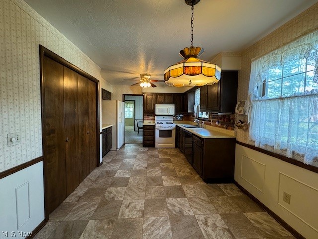 2036 Salt Springs Road Warren, OH 44481 - Photo 3 of 23 Kitchen with dark brown cabinets, white appliances, and a wealth of natural light