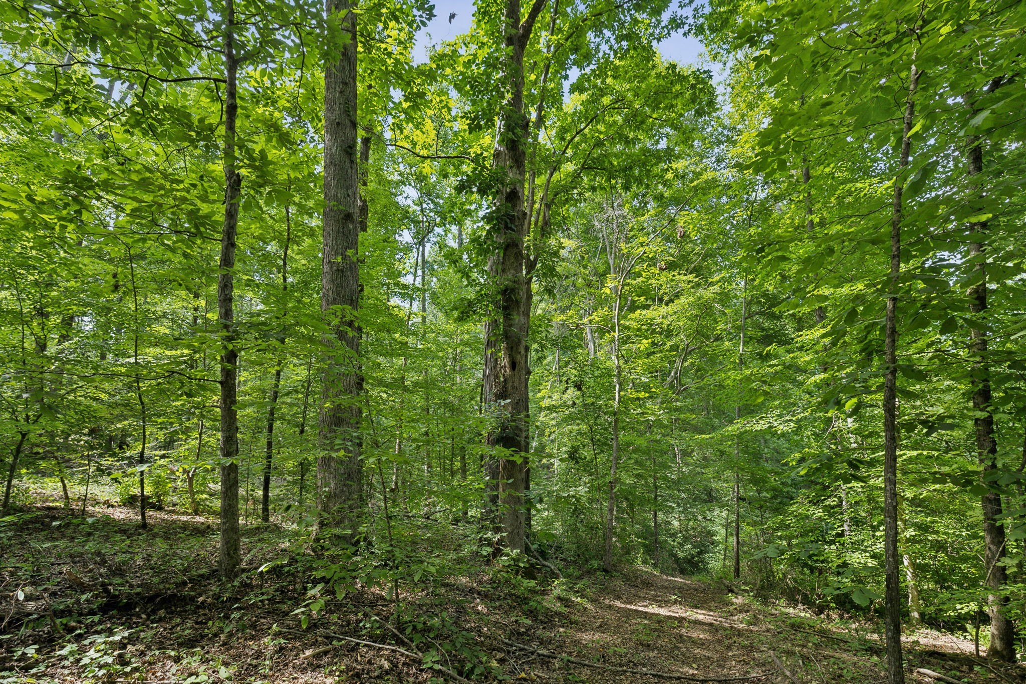 0 Lake Road Lynchburg, TN 37352 - Photo 25 of 57