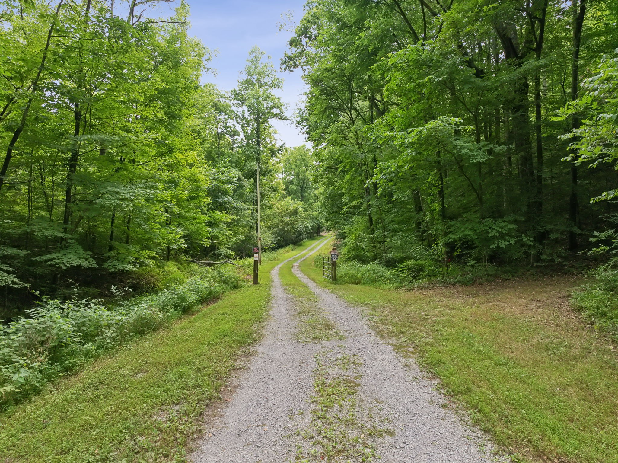 0 Lake Road Lynchburg, TN 37352 - Photo 4 of 57