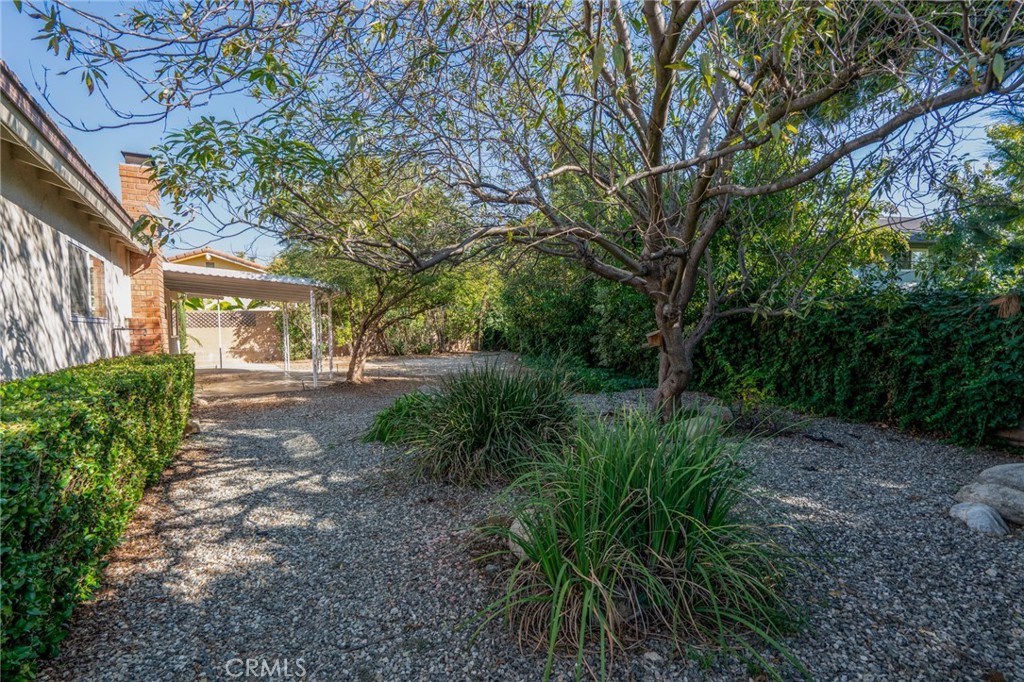 2364 Silver Tree Road Claremont, CA 91711 - Photo 8 of 23 Backyard