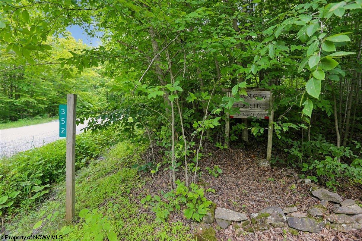 352 Ridge Road Davis, WV 26260 - Photo 44 of 47 Gallery Image 44