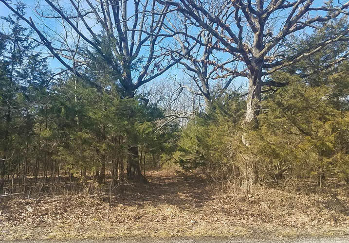 0 Victory Road Buffalo, MO 65622 - Photo 1 of 1 buf2