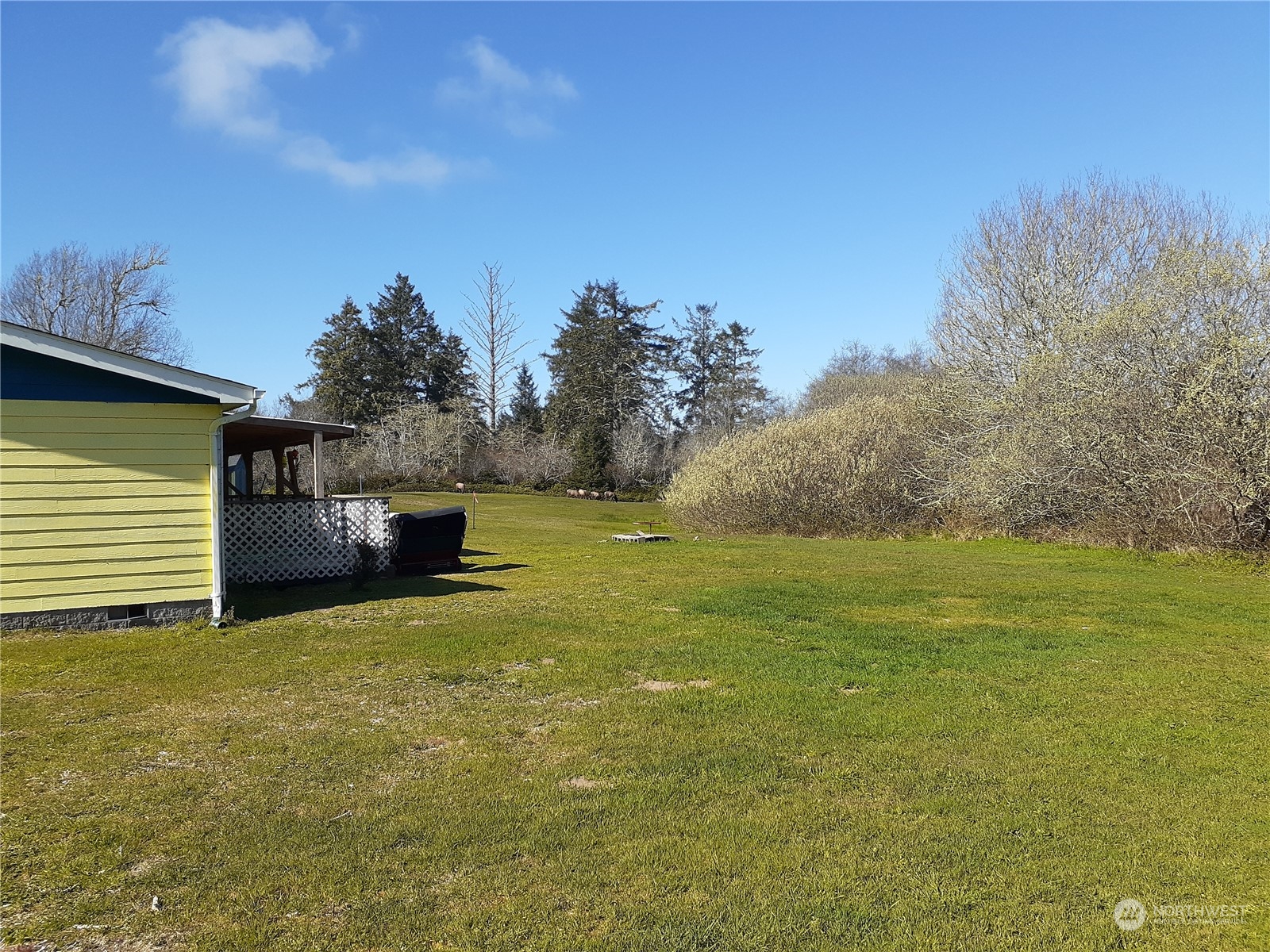 1801 Oysterville Road Oysterville, WA 98641 - Photo 6 of 40 Gallery Image 6