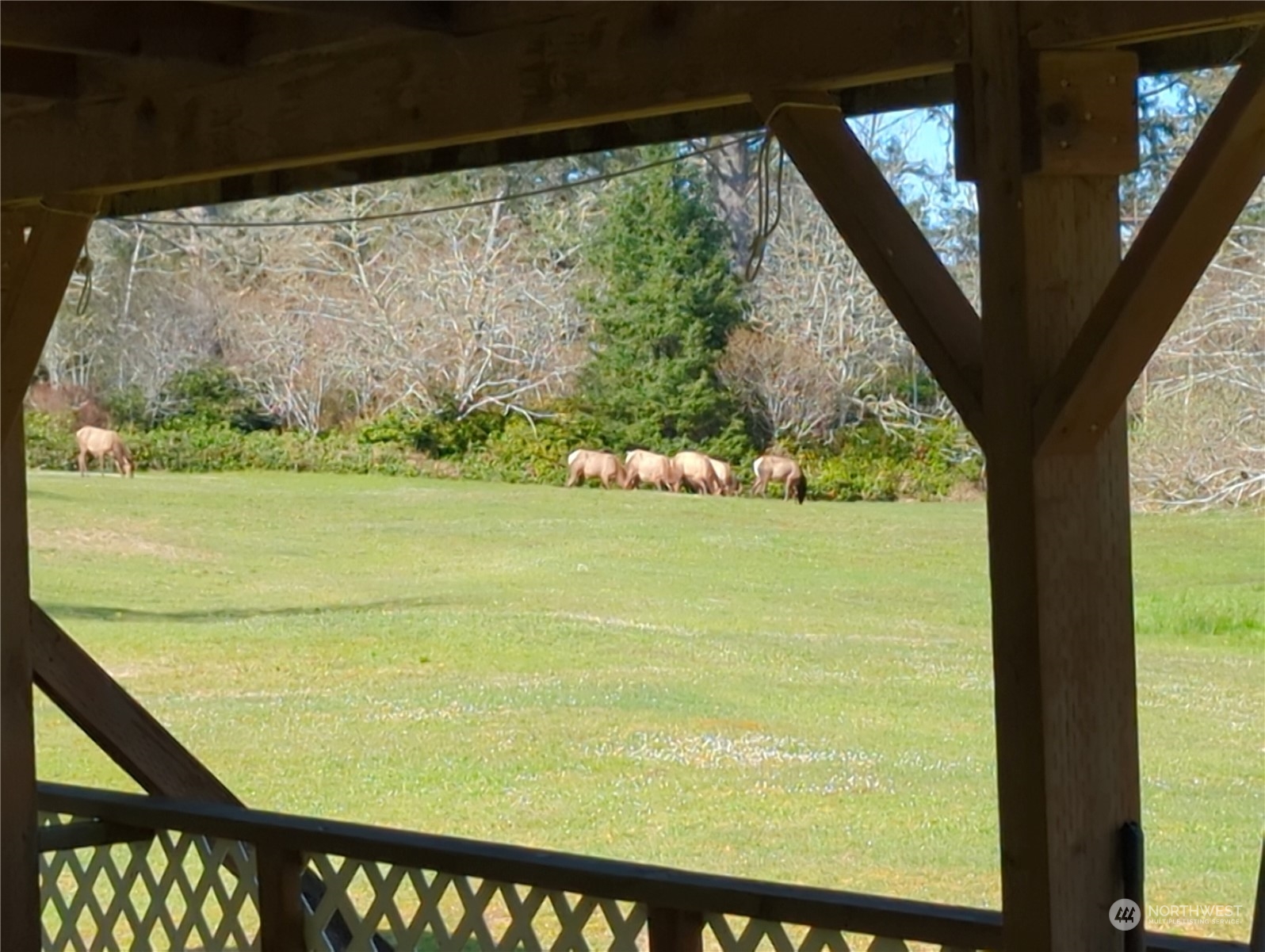 1801 Oysterville Road Oysterville, WA 98641 - Photo 8 of 40 Gallery Image 8