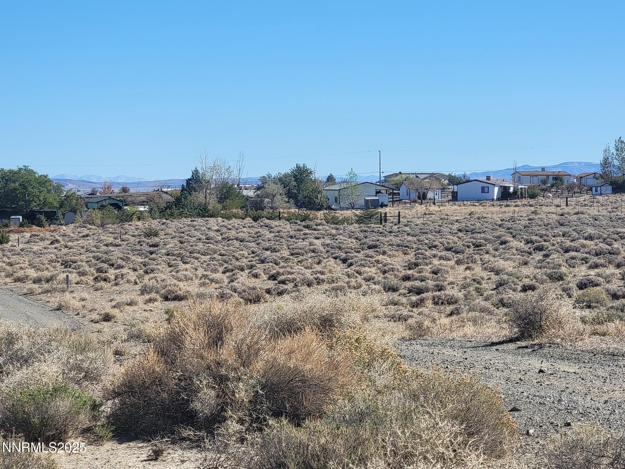 3090 Curtis Avenue Silver Springs, NV 89429 - Photo 11 of 17 a view of a dry yard with trees