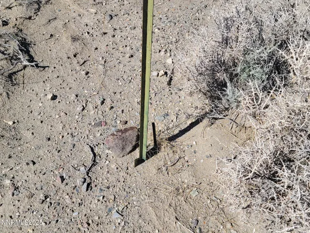 a view of a backyard of the house
