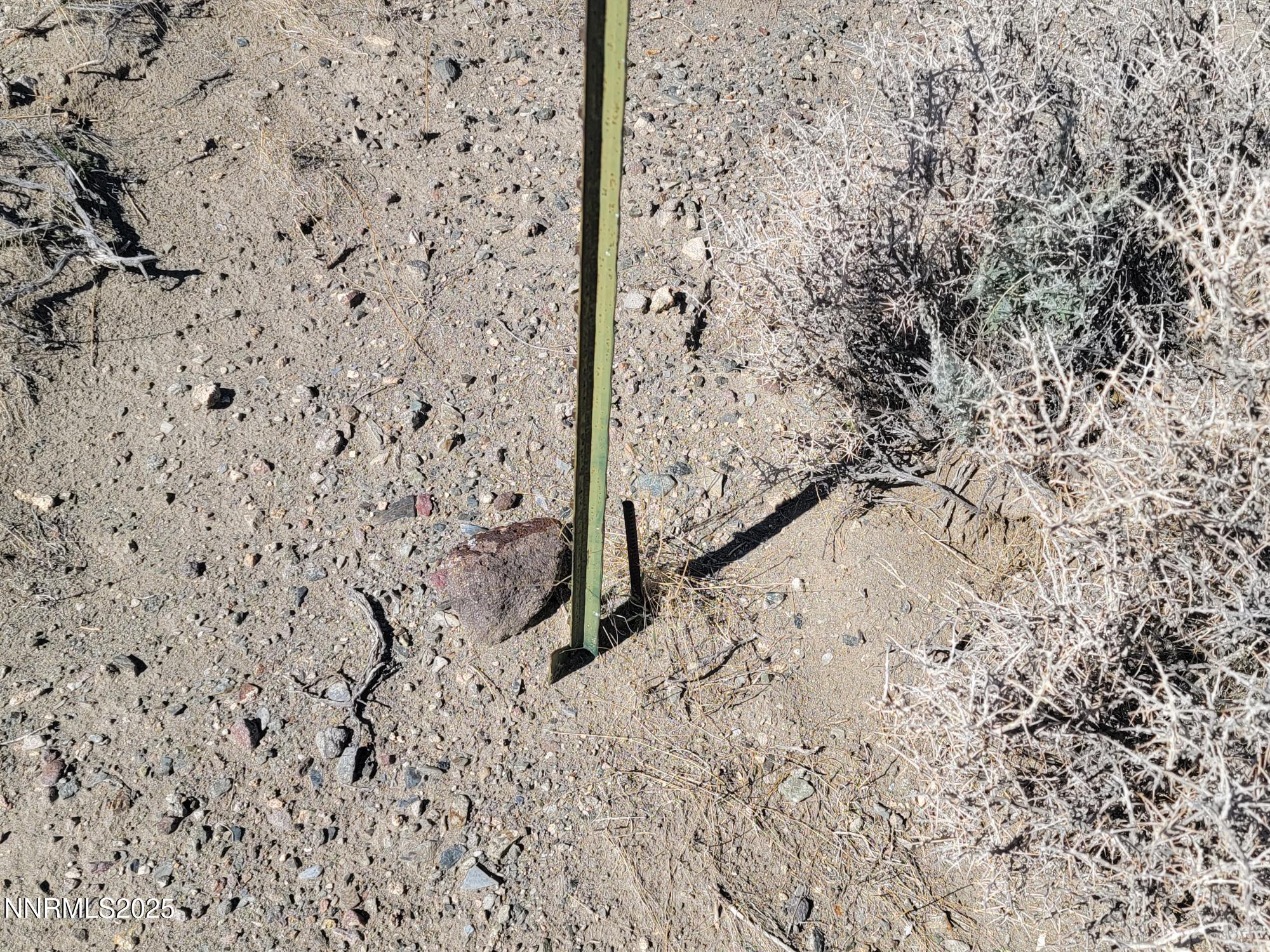 3090 Curtis Avenue Silver Springs, NV 89429 - Photo 16 of 17 a view of a backyard of the house