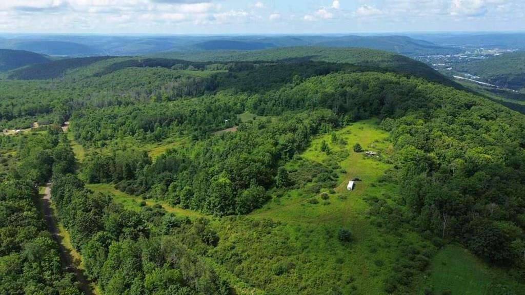 3655 Rose Road Corning, NY 14830 - Photo 3 of 7