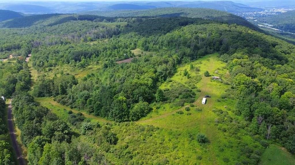 3655 Rose Road Corning, NY 14830 - Photo 4 of 7