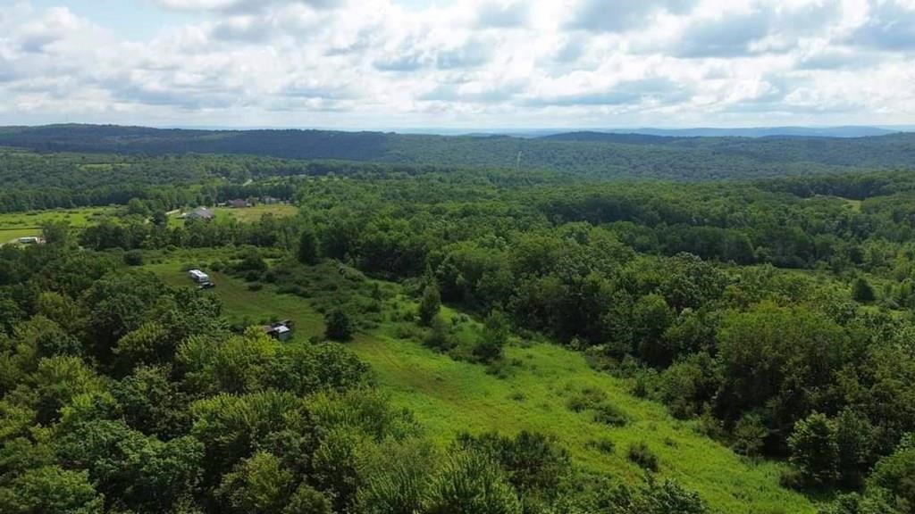 3655 Rose Road Corning, NY 14830 - Photo 6 of 7