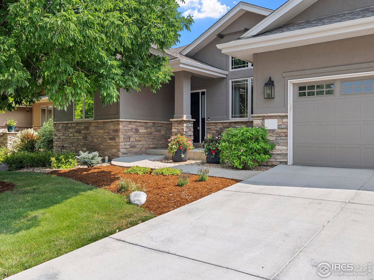 a view of a backyard with a garden and plants