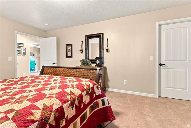 11290 South Southfield Road Mayfield, UT 84643 - Photo 86 of 103 Neutral wall tones, carpeted flooring, and white trim