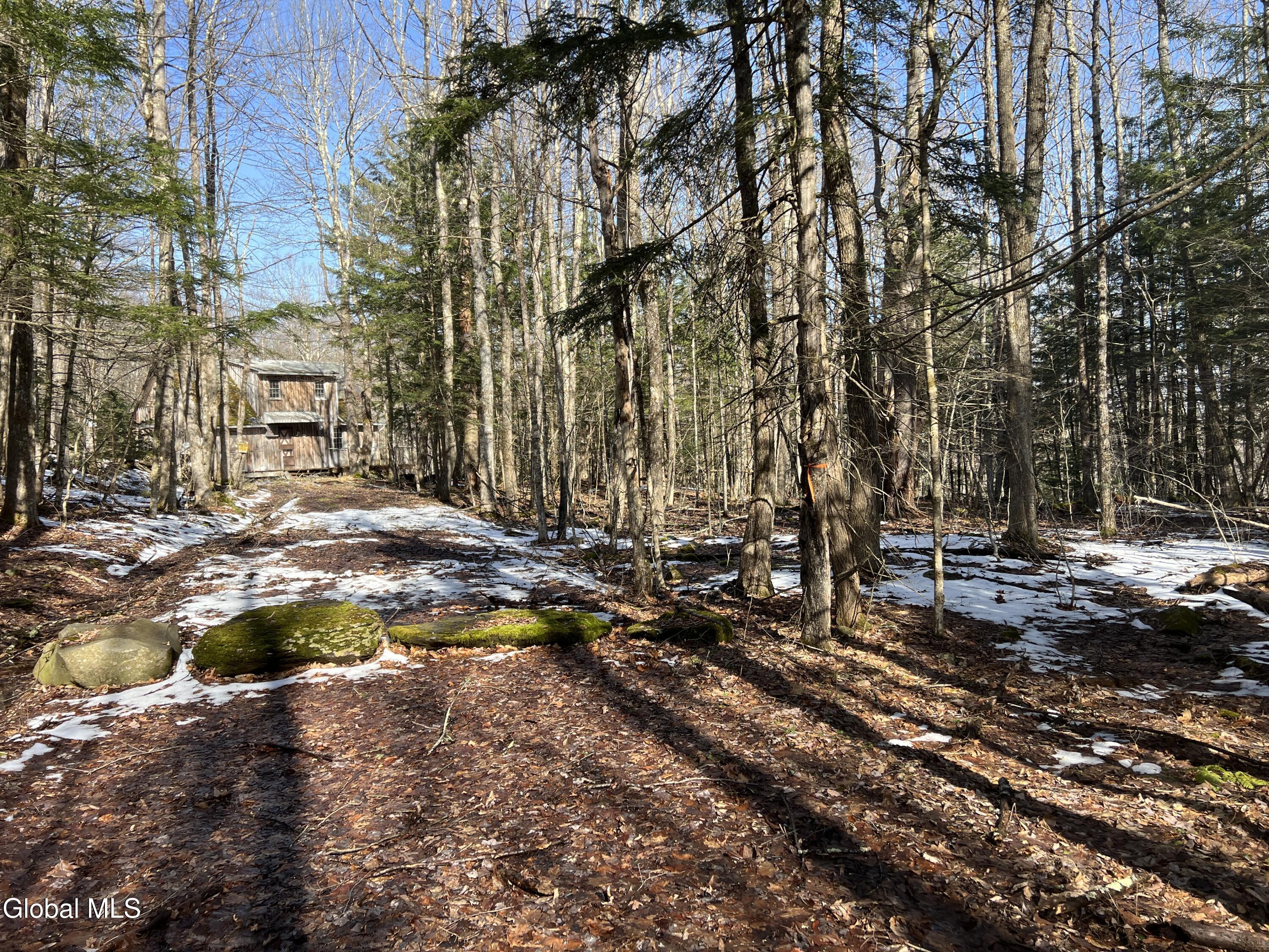 536 Bates Forest Road Conesville, NY 12076 - Photo 36 of 37 36) 72553-6a22a18f00bad