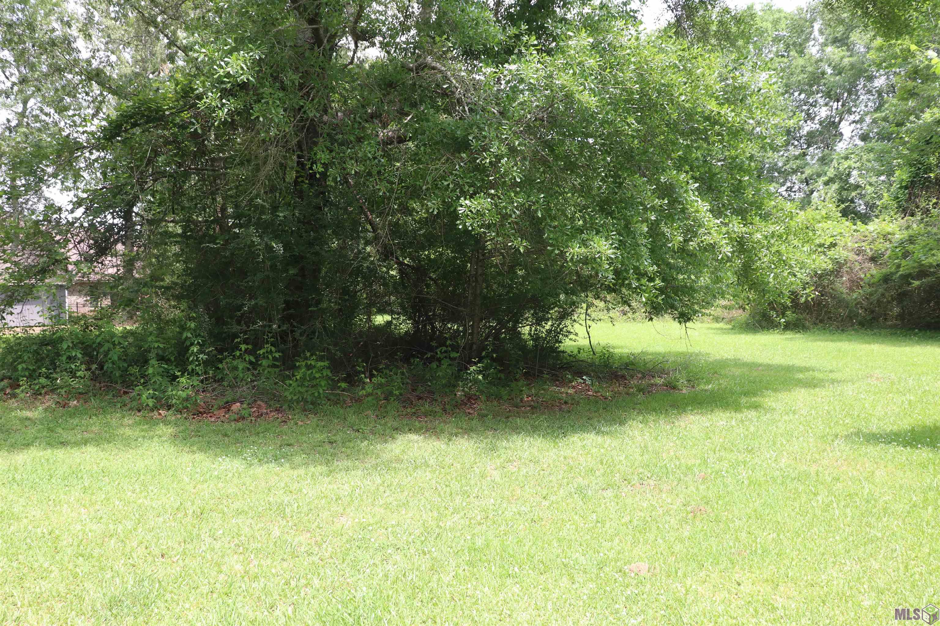 22336 Sutter Lane Zachary, LA 70791 - Photo 29 of 34