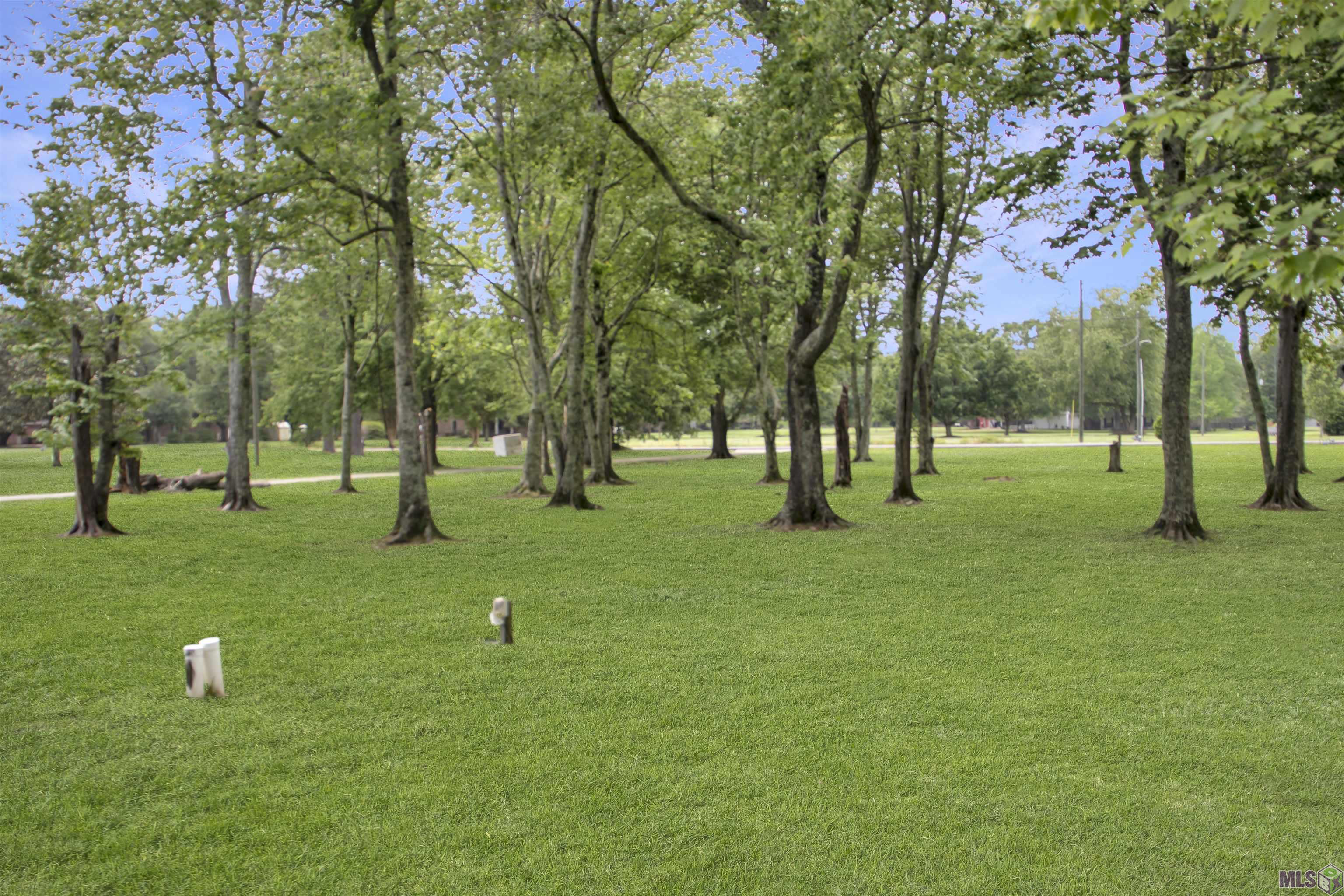 22336 Sutter Lane Zachary, LA 70791 - Photo 7 of 34