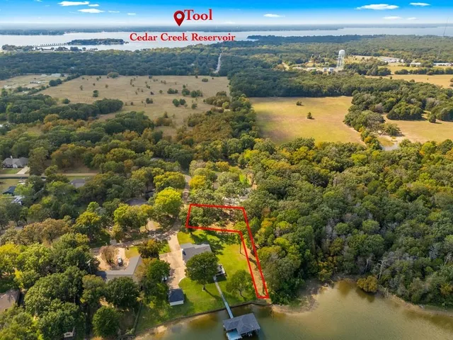 a view of a yard with an trees
