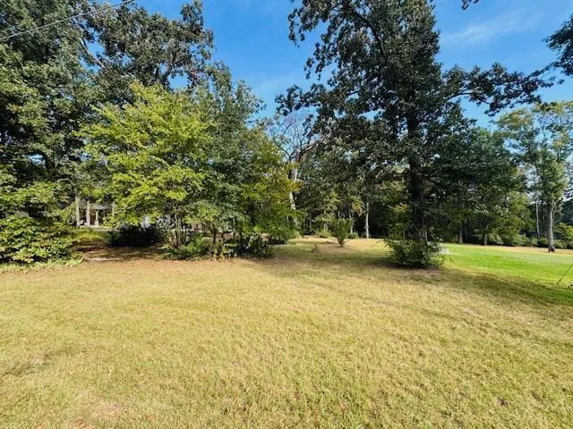 a view of outdoor space and yard