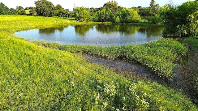 a view of a lake with a yard and large trees