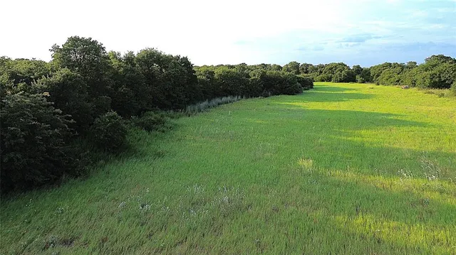 a view of grassy field with mountain