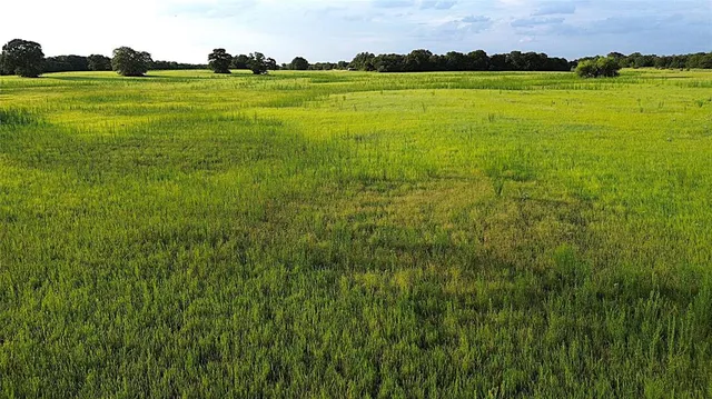 a view of an ocean from a yard