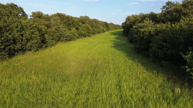 a view of a lake from a yard