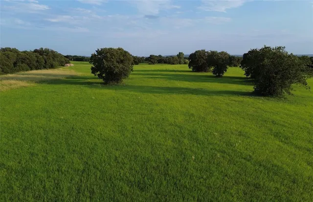 a view of a grassy field with trees