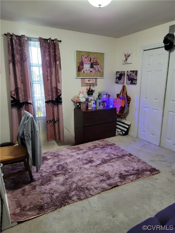 15230 McBryant Road Ruther Glen, VA 22546 - Photo 18 of 22 a bed room with a bed mirror and a window