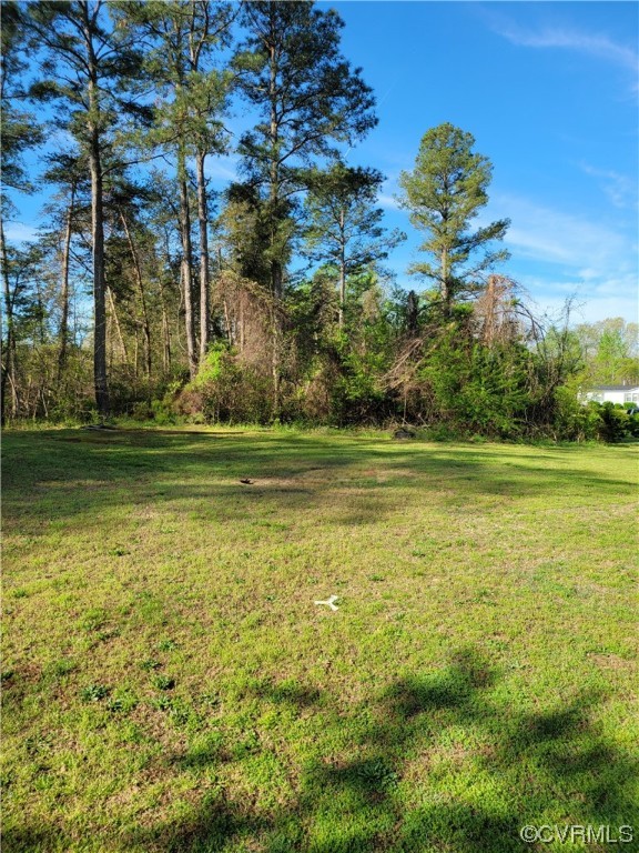 15230 McBryant Road Ruther Glen, VA 22546 - Photo 22 of 22 a view of a water fountain and a yard
