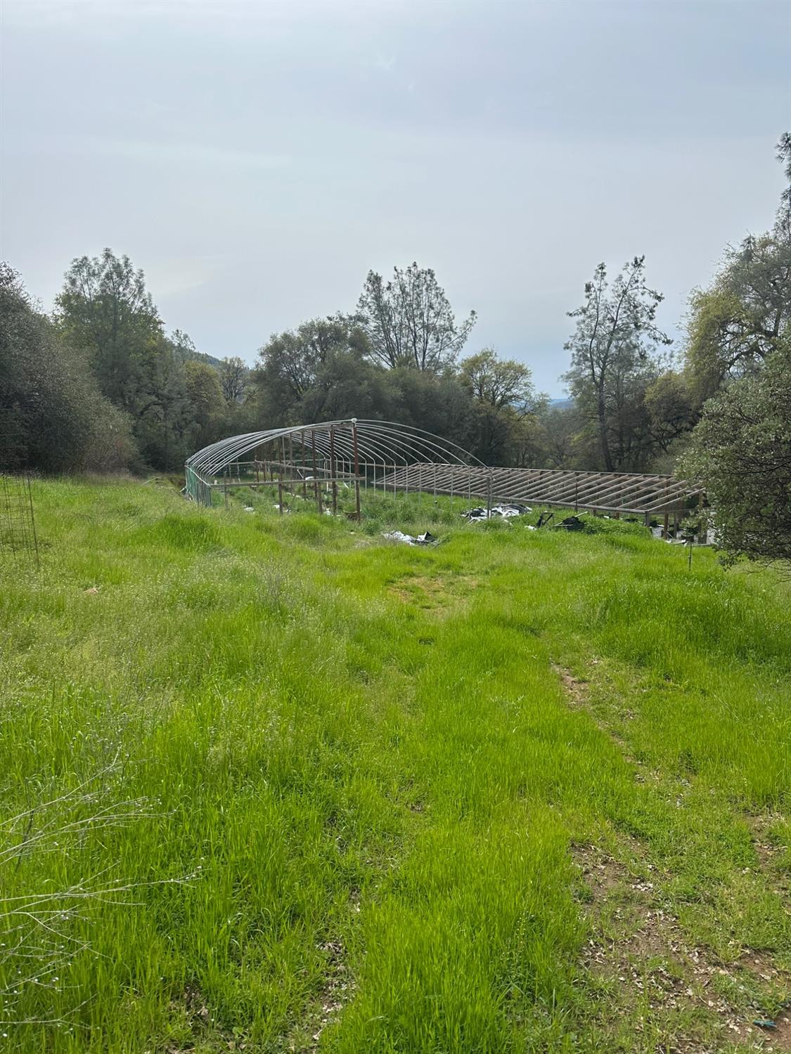 16344 Sheehan Way Rackerby, CA 95972 - Photo 8 of 10