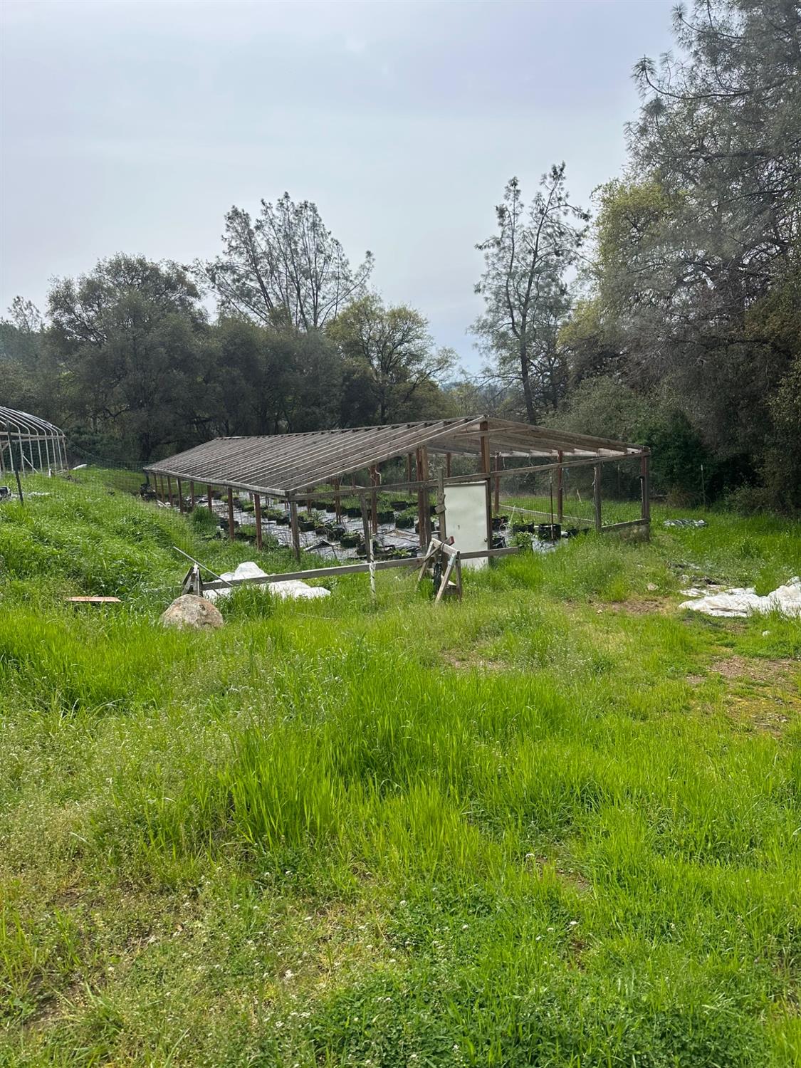 16344 Sheehan Way Rackerby, CA 95972 - Photo 9 of 10