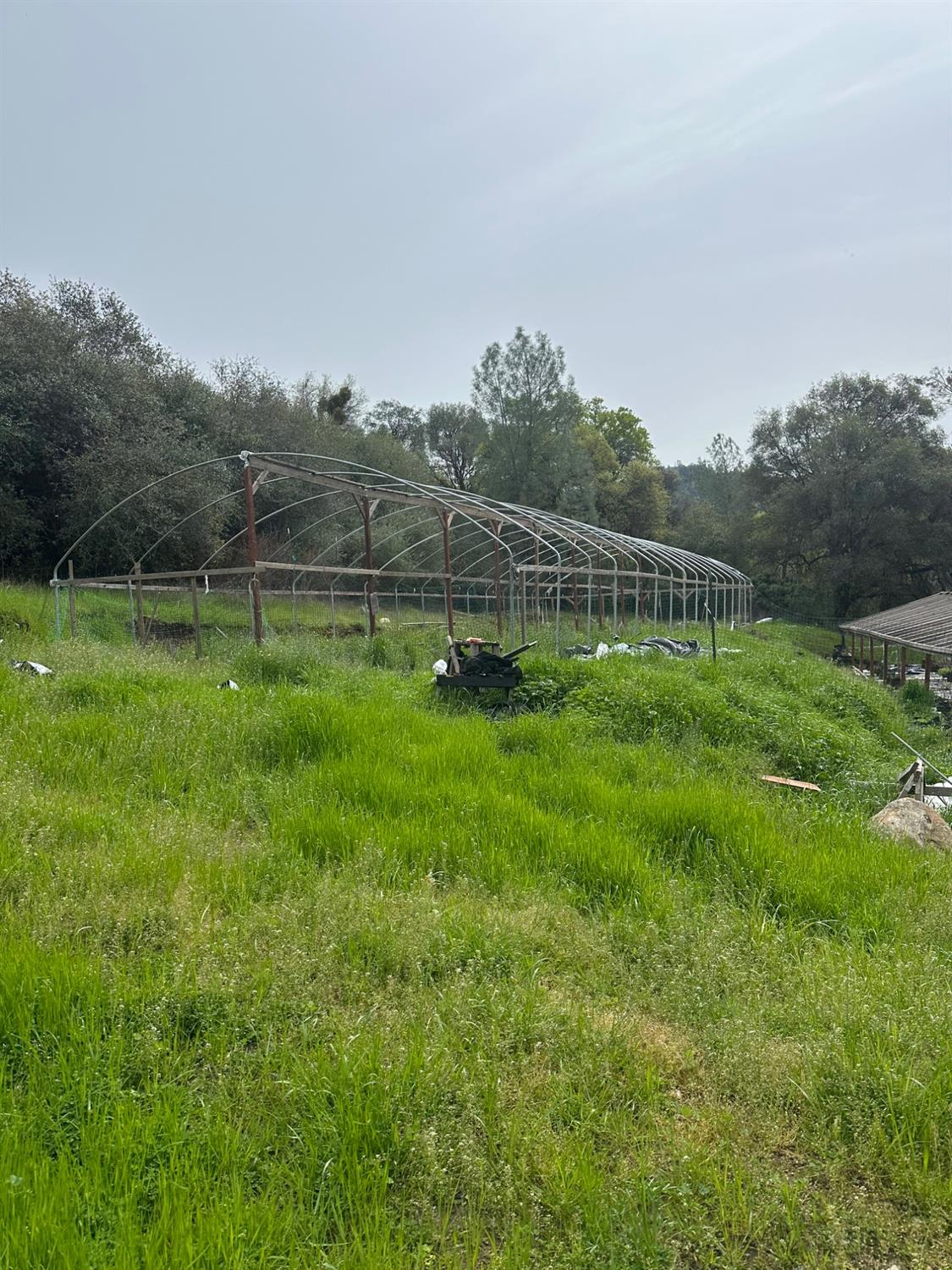 16344 Sheehan Way Rackerby, CA 95972 - Photo 10 of 10