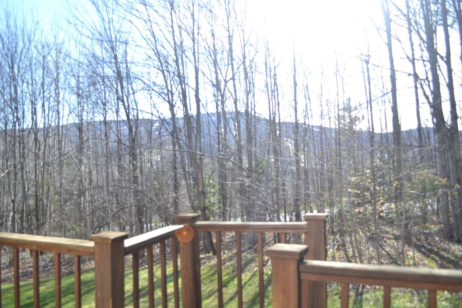 4 B Newfane Circle, Unit 4B West Dover, VT 05356 - Photo 33 of 59
