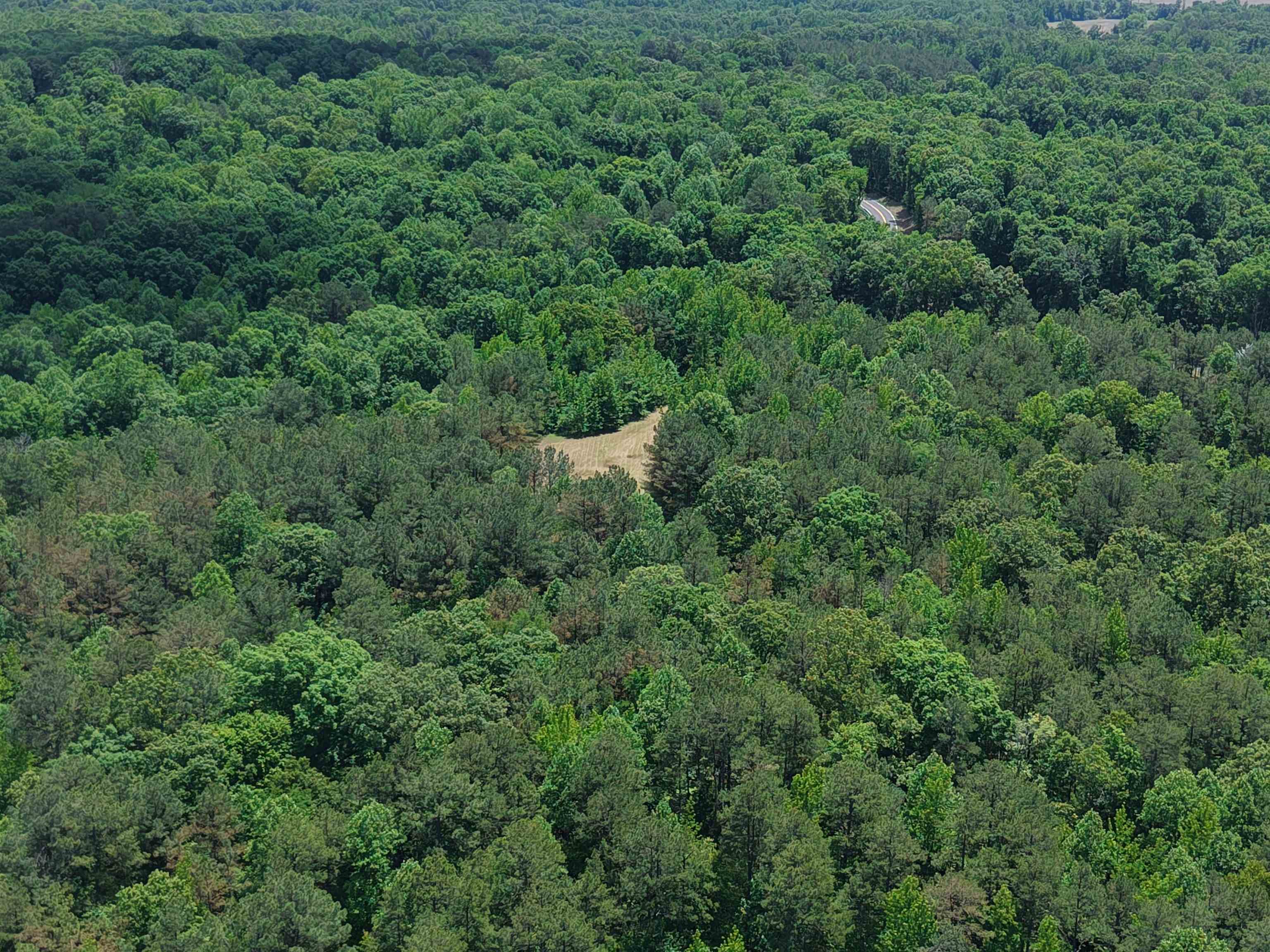 0 Silerton Road Toone, TN 38381 - Photo 10 of 24