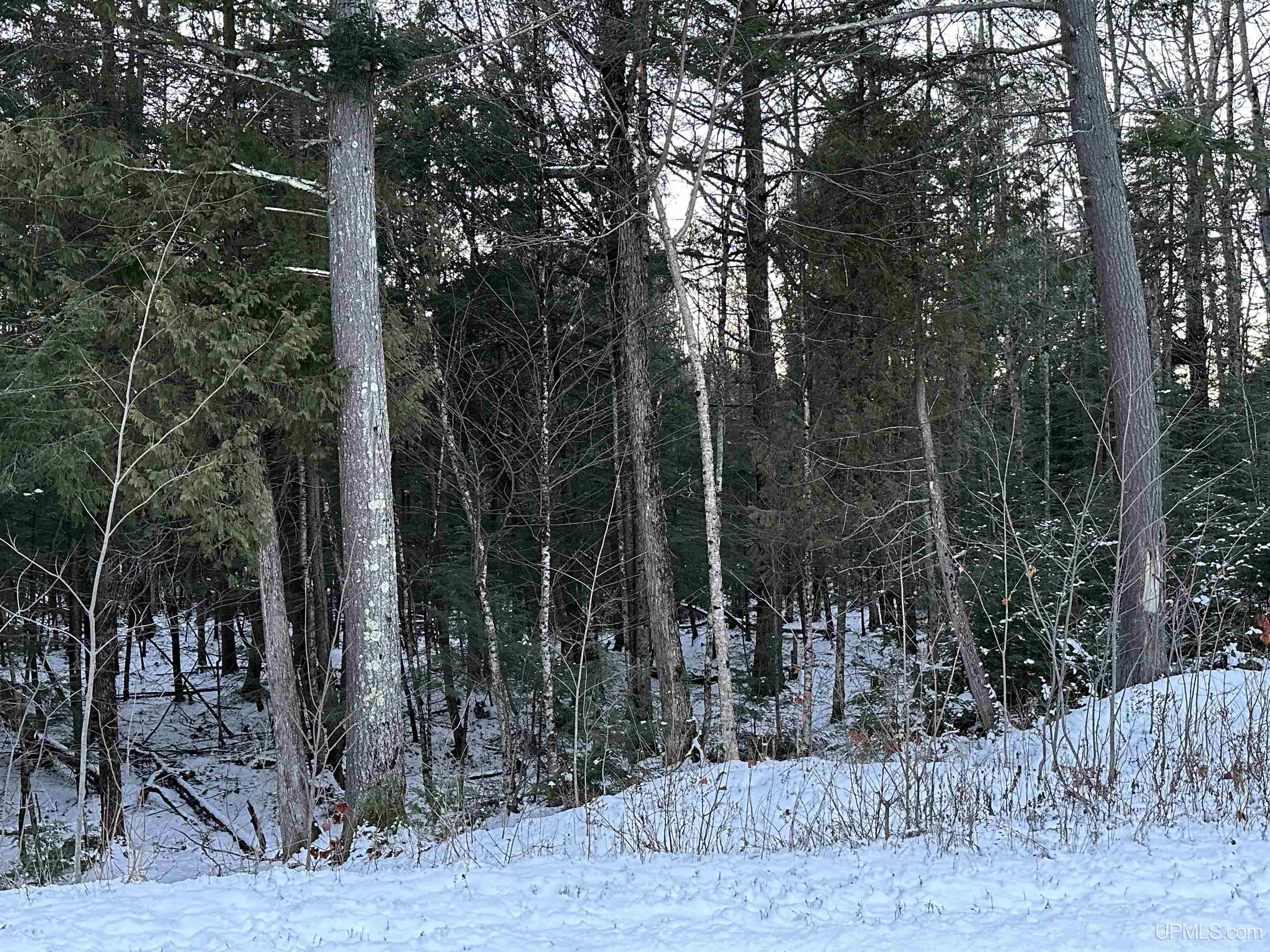Lot 49 Hewitt Lane Mercer, WI 54547 - Photo 19 of 28 Gallery Image 19