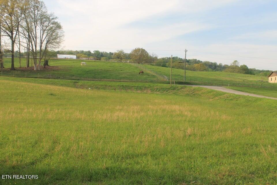 Lot 7 Roddy Branch Road Rockford, TN 37853 - Photo 1 of 15 Roddy Branch 1