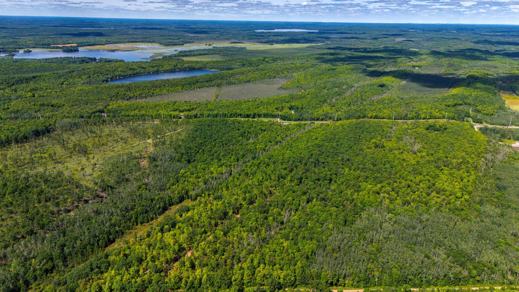40-acres Ison Road Crandon, WI 54520 - Photo 14 of 31 Gallery Image 14